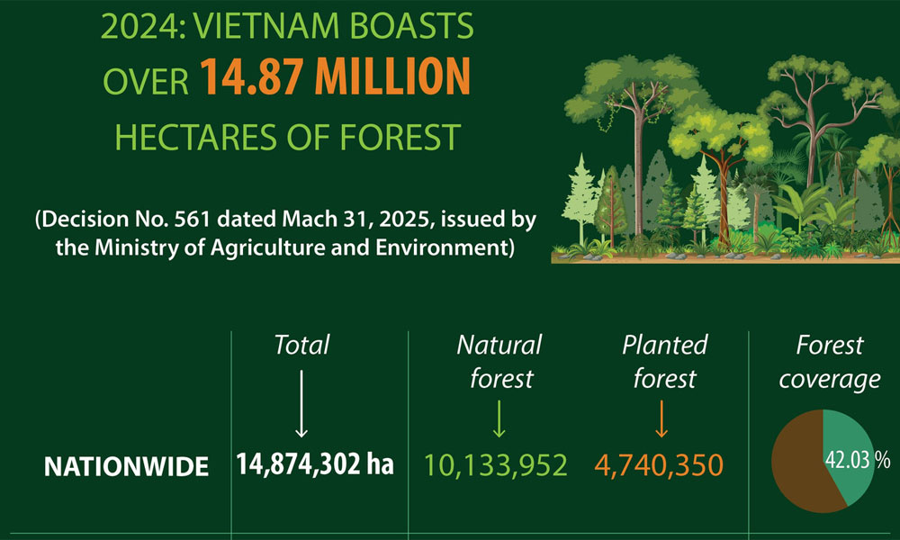 Vietnam boasts over 14.87 million hectares of forest in 2024